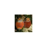 Clown Sea Apple