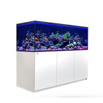 Red Sea REEFER-S G3+ – Premium Reef-Ready Marine Aquarium & Cabinet