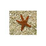 Red Starfish