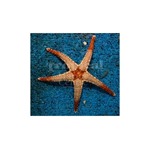 Pearl Starfish