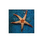 Pearl Starfish