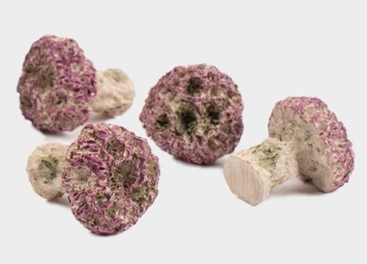 Coral frag plugs